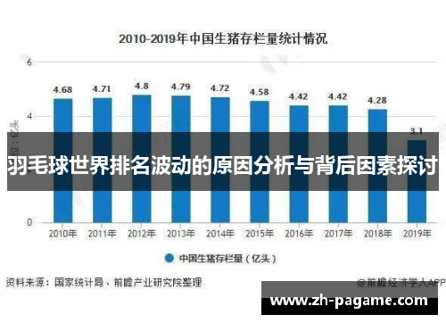 羽毛球世界排名波动的原因分析与背后因素探讨