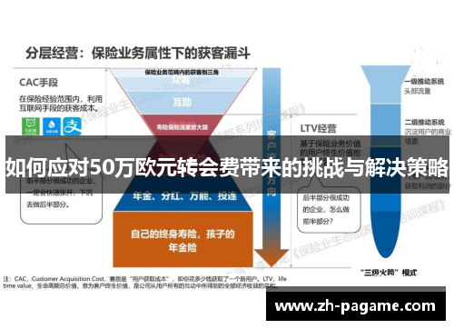 如何应对50万欧元转会费带来的挑战与解决策略
