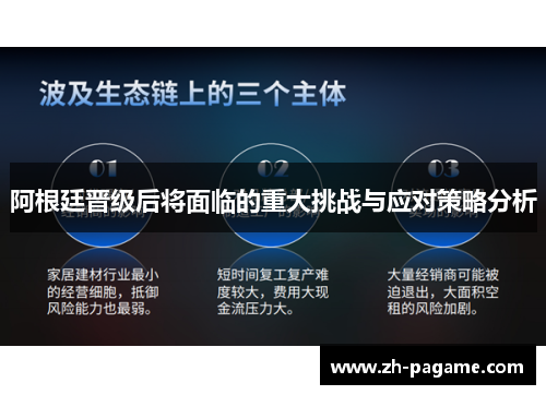 阿根廷晋级后将面临的重大挑战与应对策略分析
