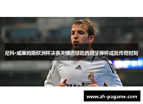 尼科·威廉姆斯欧洲杯决赛关键进球助西班牙捧杯成就传奇时刻