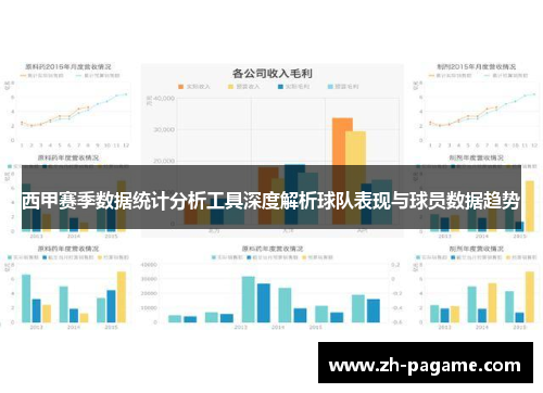 西甲赛季数据统计分析工具深度解析球队表现与球员数据趋势